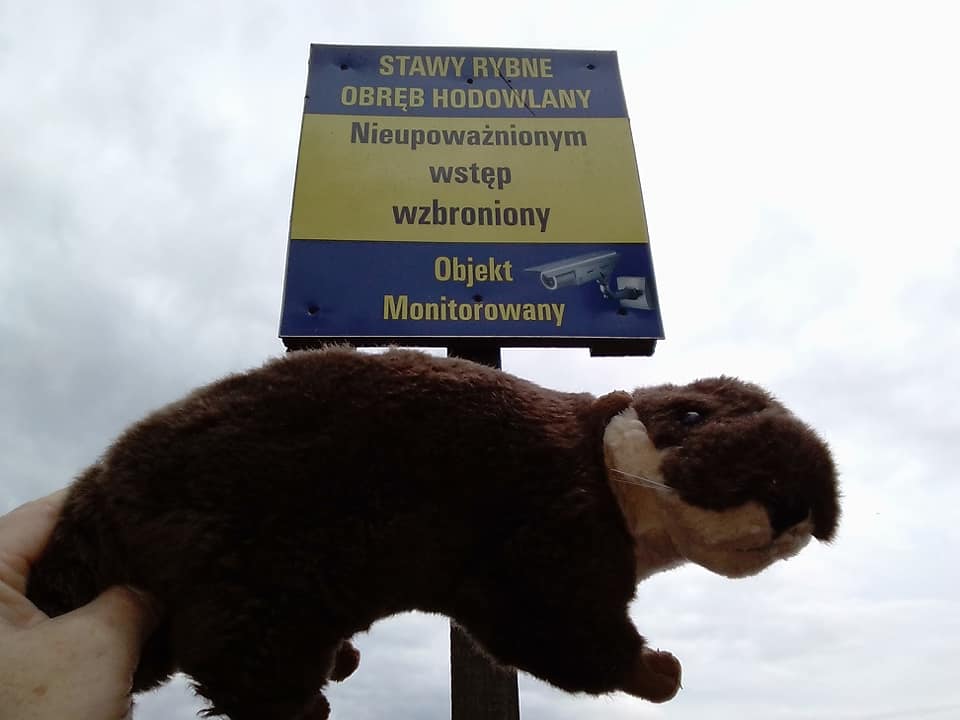 otterkannnichtlesen.jpg