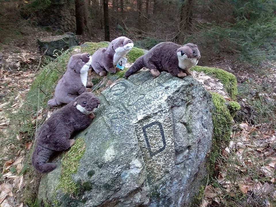 otterrudel.jpg