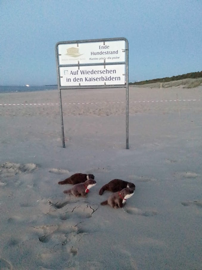 hundestrand2.jpg