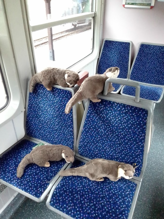 ottertriebwagen.jpg