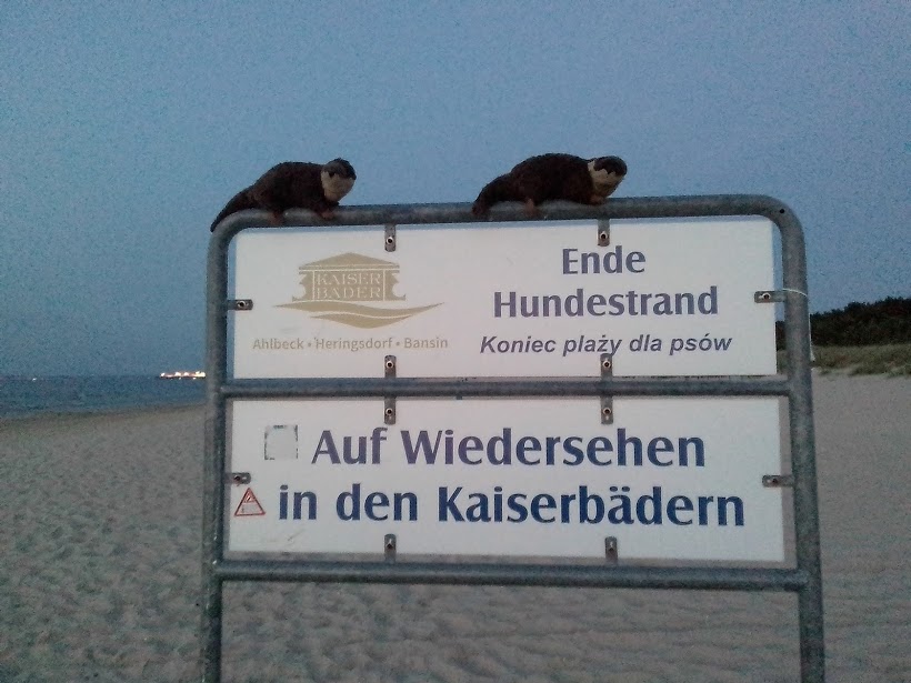 hundestrand3.jpg