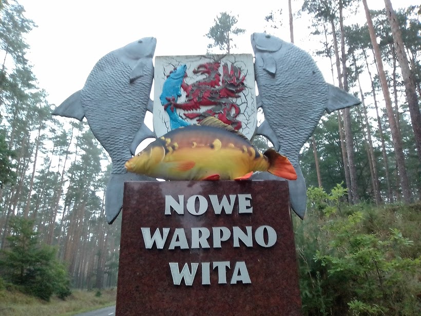 neuwarpcarp.jpg